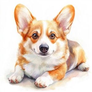 10 Printable Cute Corgi, watercolor art, Cute dogs ClipArt, Printable JPG, Pet portrait, Commercial Use, Paper design, Corgi art