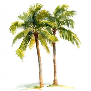 Op de afbeelding: Waterverfschilderij van twee palmbomen met groene bladeren en bruine stammen. Het kunstwerk heeft een zachte, natuurlijke uitstraling, met de bomen tegen een witte achtergrond. De bladeren hebben een geelgroene tint, wat zonlicht suggereert.