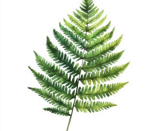 Printable Fern Leaf decor, watercolor Images, Fern botanical art, Clip Art, Green leaves decor, Paper design, Fern leaf art