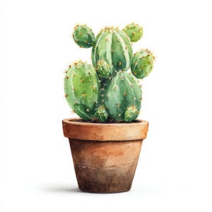 May include: Watercolor illustration of a green cactus with yellow spines in a brown terracotta pot. The cactus has multiple rounded segments and is set against a white background. The pot has a two-tone brown color.