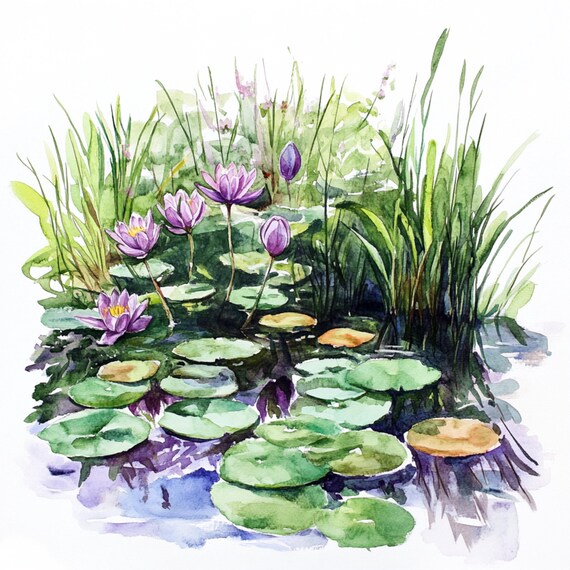 水彩画「池の水草」 池の野生の花10枚（印刷可能）、水彩画の草原の池、野生の花の植物