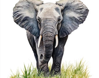 10 éléphants à imprimer, aquarelle éléphant, clipart Elephante, fichiers JPG imprimables, animal sauvage, utilisation commerciale, conception de papier