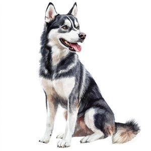 Clipart stampabile di Husky, arte ad acquerello, ClipArt carina, JPG stampabile, Ritratto di animale domestico, Uso commerciale, Design su carta, Bella arte di Husky
