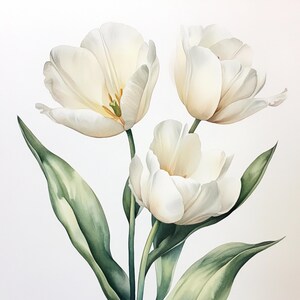 Puede incluir: Un ramo de tres tulipanes blancos con hojas verdes. Los tulipanes est&aacute;n en plena floraci&oacute;n y tienen un aspecto suave y delicado.