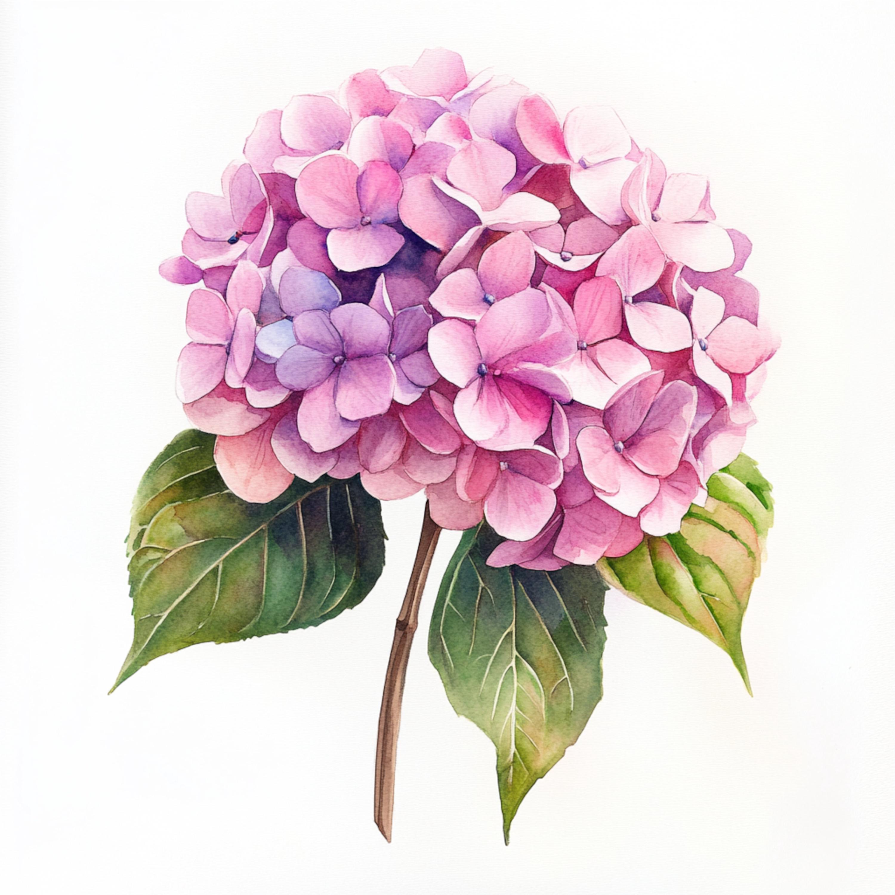 10 Printable Hydrangea Flower, Pink Flower, Housewarming Gift Art ...