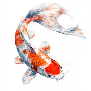 Clipart stampabile di pesce Koi, acquerello di pesce Koi, clipart nautico, JPG stampabili, arte di pesce, uso commerciale, design di carta, illustrazione di Koi