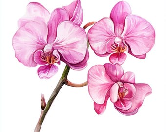 Printable Pink Orchid flower decor, watercolor Images, Orchid botanical art, Clip Art, Commercial Use, Paper Pink flower design