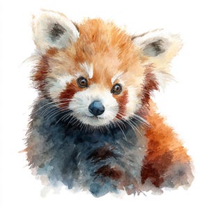 May include: Watercolor painting of a red panda. The animal has reddish-brown fur with white markings around the eyes and ears. The nose is black, and the eyes are brown. The fur is detailed, and the painting style is soft and gentle.