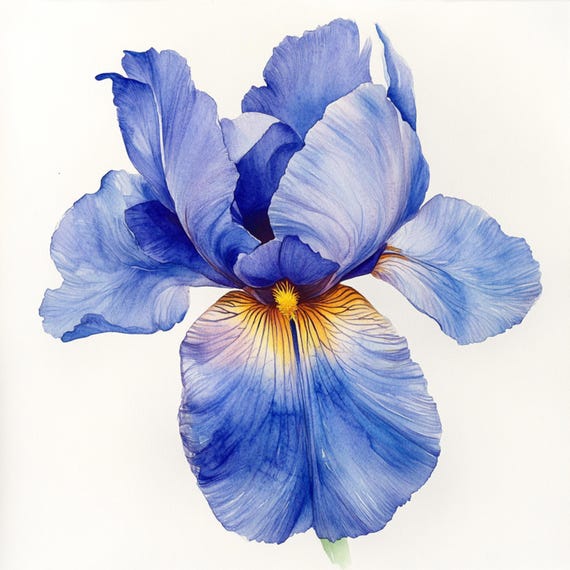 10 印刷可能な水彩画のアイリス、水彩画の青いアイリス、春のクリップ