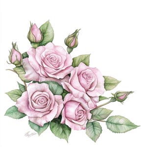 Coin de 10 roses à imprimer, roses roses aquarelles, clipart rose, usage commercial, conception de fleurs roses, aquarelle de coin de roses, carte de roses