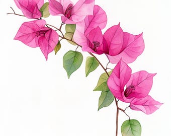 10 Printable Bougainvillea flowers decor, watercolor flowers, Bougainvillea botanical Clip Art, Bougainvillea design, Pink flower design