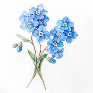 K&ouml;nnte beinhalten: Ein Aquarellbild eines Strau&szlig;es blauer Vergissmeinnicht-Blumen mit gr&uuml;nen Stielen und Bl&auml;ttern.
