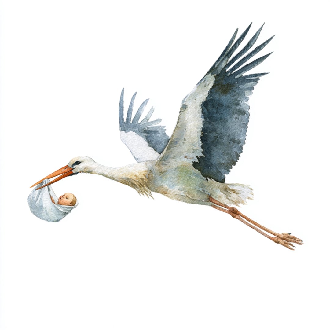 3羽のコウノトリ 水彩画風 アート 3羽のコウノトリ 水彩画風 アート il_1080xN.7225733138_t8ld.jpg