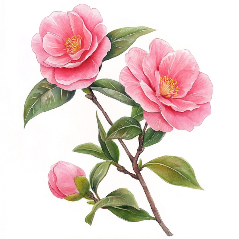 May include: A watercolor painting of a pink camellia flower branch with green leaves. The camellia flowers are in bloom and have a delicate, feminine appearance.