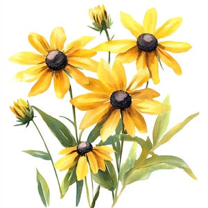 10 Printable Black Eyed Susan, Yellow Wildflower, Black Eyed Susan art, Watercolor clipart, Commersial Use, Digital Wedding Bouquet