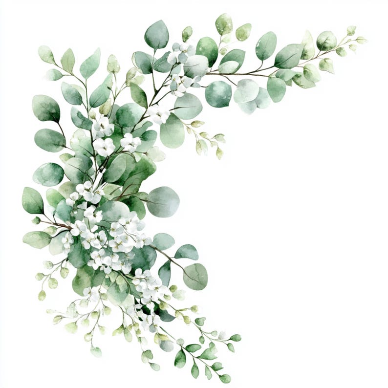Puede incluir: Ilustraci&oacute;n de acuarela de una rama de eucalipto con flores blancas. La rama est&aacute; curvada y tiene un esquema de color verde y blanco.