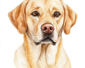 il_340x270.6449820710_req4.jpg