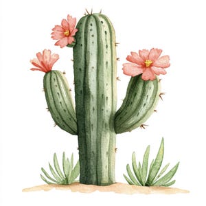 10 images imprimables de cactus dans le désert, images aquarelles, art botanique de cactus, décoration de cactus, conception de papier, art de cactus dans le désert