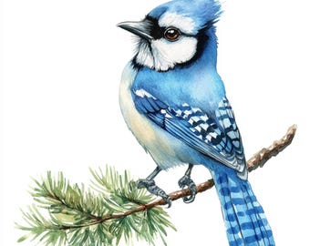 10 Printable Blue jay Bird , Watercolor Blue jay, Bird on green tree branch, realistic watercolor, DIY gift card, Commercial Use