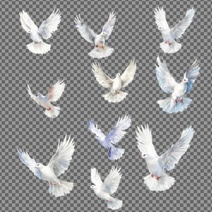 May include: A digital illustration of ten white doves in flight. The doves are depicted with wings spread, creating a sense of peace and tranquility.