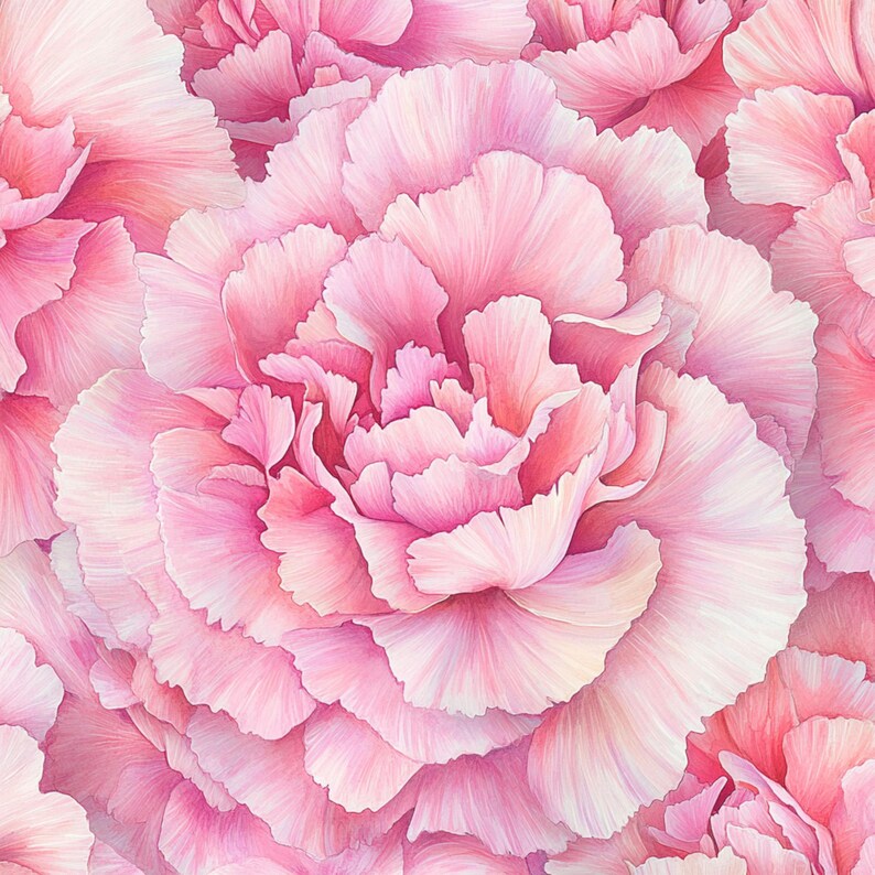 10 Printable Carnations Art, Watercolor Carnations Blossom, Botanical ...