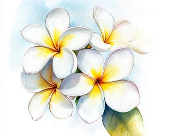 10 Printable White frangipani art, watercolor Images, frangipani botanical, White Wedding flowers dsign, White frangipani, White floral art