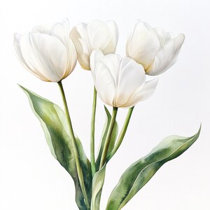 Puede incluir: Un ramo de cuatro tulipanes blancos con tallos y hojas verdes.