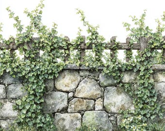 10 Printable Ivy fence, watercolor stones wall, Ivy botanical art, stone wall covered with ivy, Paper design, Ivy wall art, commersial use