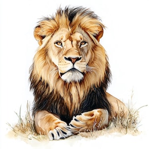 10 leoni stampabili, acquerello di leone, animale predatore, uso commerciale, design di carta, leone sull'erba, animale forte