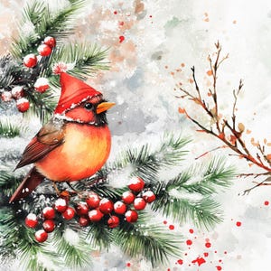 10 cardeais para impressão, cartão de Natal, pássaros de Natal, estilo aquarela, JPGs para impressão, comercial, design de papel, cardeal em galho de pinheiro