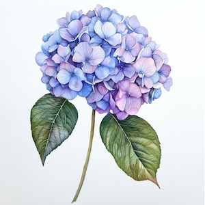 10 afdrukbare hortensia bloem, blauwe bloem, housewarming cadeau kunst, aquarel clipart, hortensia print, hortensia kunst