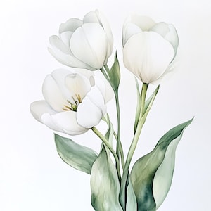 Puede incluir: Una pintura de acuarela de tres tulipanes blancos con tallos y hojas verdes.