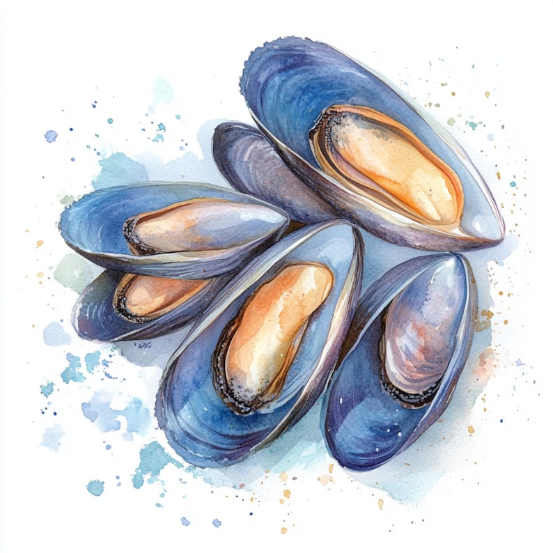 10 Printable Mussels Clipart, Seashell Watercolor, Nautical Clipart ...