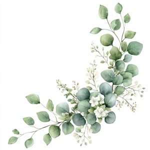 Puede incluir: Ilustraci&oacute;n de acuarela de una rama de eucalipto con flores blancas. La rama est&aacute; curvada y tiene un esquema de color verde y blanco.