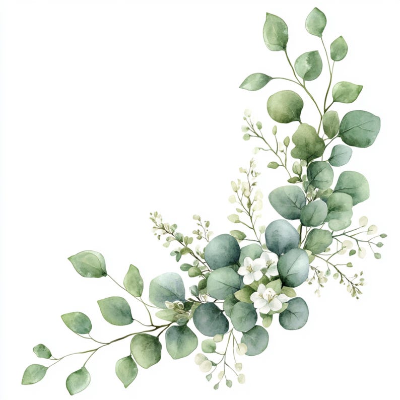 Puede incluir: Ilustraci&oacute;n de acuarela de una rama de eucalipto con flores blancas. La rama est&aacute; curvada y tiene un esquema de color verde y blanco.