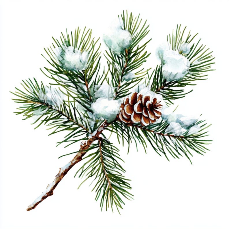May include: A snowy pine branch with a brown pine cone. The branch is covered in white snow and the pine cone is in the center of the image.