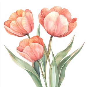 10 Printable tulips art, watercolor tulips, pink pastel tulips, botanical tulip, tulip pink design, Spring pink flower, floral clip art