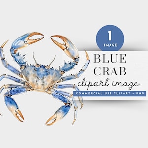 Watercolor Blue Crab PNG, Maryland Crab PNG Single Image, Blue Crabs Clip Art, Ocean Lover Clipart, Sea Life Clipart