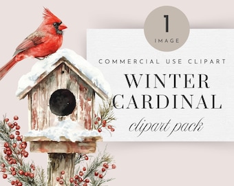 May include: A watercolor painting of a red cardinal perched on a snow-covered birdhouse. The birdhouse is wooden with a red roof and a small opening. The cardinal is facing to the right and has a black eye. The background is a light pink.