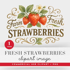Fresas frescas de granja (Png), campo de fresas (Imagen individual), festival de fresas (Png), campos de fresas (Png), mercado agrícola (Png)