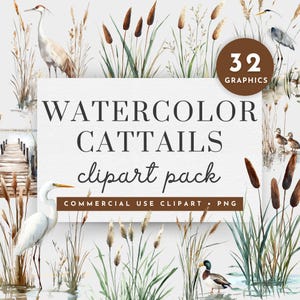 Aquarell Rohrkolben Clipart, Clipart Rohrkolben Clipart, Blaureiher Clipart, Aquarell Stockente Ente Clipart, Aquarell Boho Gras Clipart