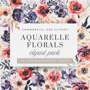 Aquarel bloemen clipart, humeurige bloemen voor commercieel gebruik, aquarel klaprozen ClipArt, rode bloemen clipart, paarse bloemen illustraties, png