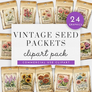 Pacote de sementes de flores Junk Journal Clipart, Pacote de sementes vintage PNG, Clipart de frutas e vegetais em aquarela, Clipart de jardim inglês comercial