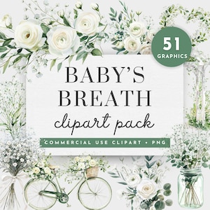 Babys Breath-clipart, Babys Breath-krans clipart, elegante Baby's Breath-huwelijksuitnodigingen clipart, aquarel bloemenframes