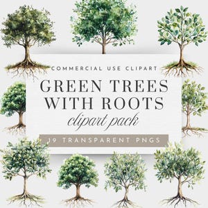 Clipart di albero acquerello con radici, Clipart di albero della vita per uso commerciale, Clipart di albero di foglie di quercia, Clipart di albero con radici