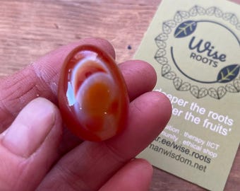 SMALL CARNELIAN Palm stone meditation sacral womb chakra gemstone A+ grade 100% natural genuine certified shakti undrilled