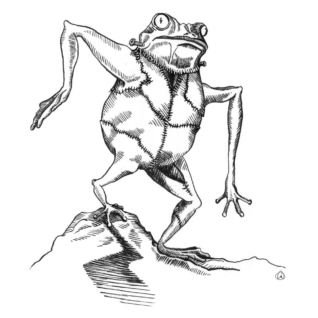 Frogenstein Frog Frankenstein Mashup, Stupid Animal Hybrids, Black ...