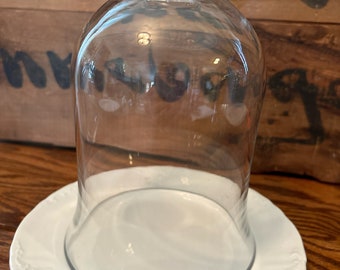 Glass Cloche with an Antique Ironstone Plate