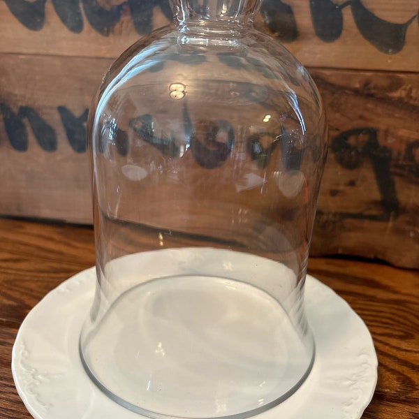 Glass Cloche with an Antique Ironstone Plate