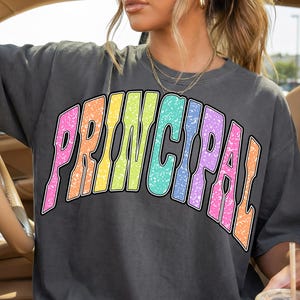 以下が含まれることがあります： チャコールグレーの半袖Tシャツ。胸元には「PRINCIPAL」という文字が大きくアーチ状に描かれています。各文字はピンク、オレンジ、イエロー、グリーン、ブルー、パープルのレインボーグラデーションで、斑点状のテクスチャ加工が施されています。